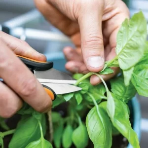 FISKARS® Solid™ Kräuterschere SP220 10